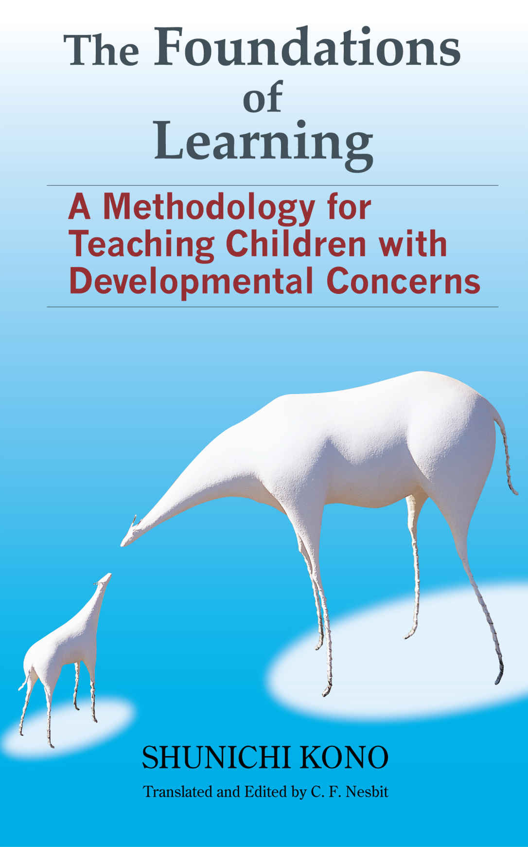 表紙:The Foundation of Learning:A Methodology for Teaching Children with Developmental Concerns(English Edition)